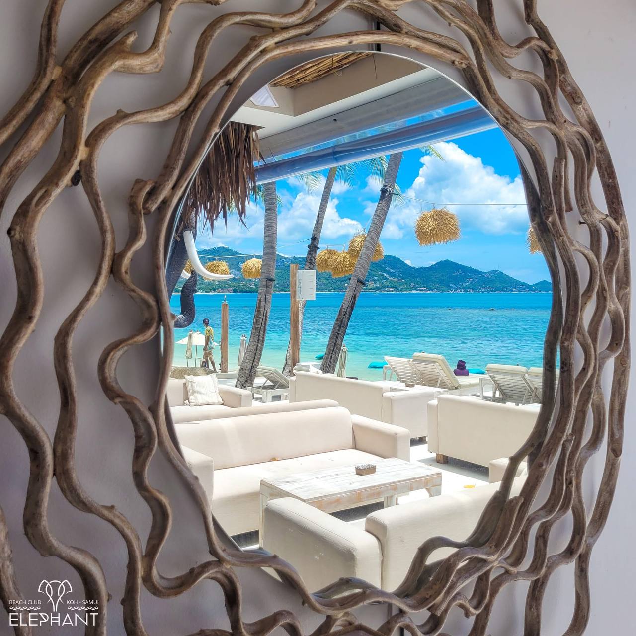 Elephant beach club