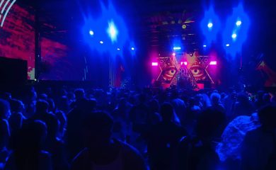 IMG_1555 IMG_1555