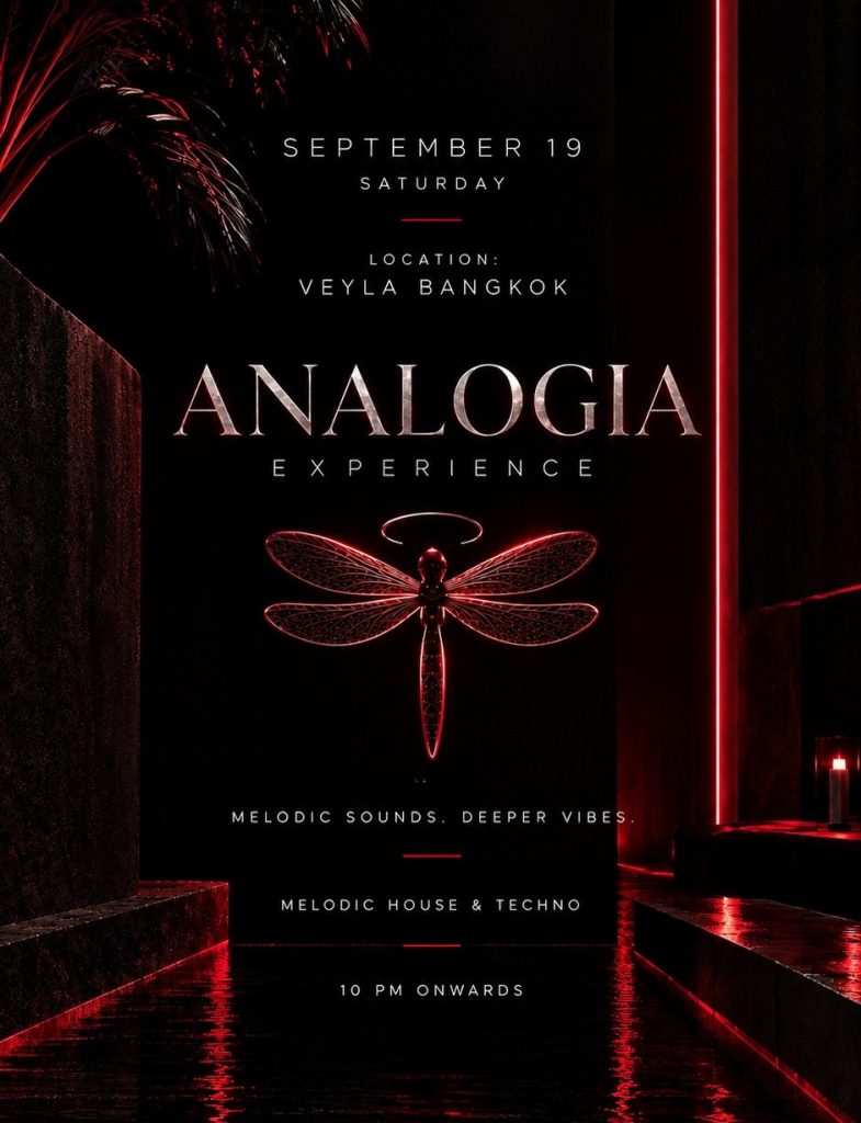 Analogia Experience