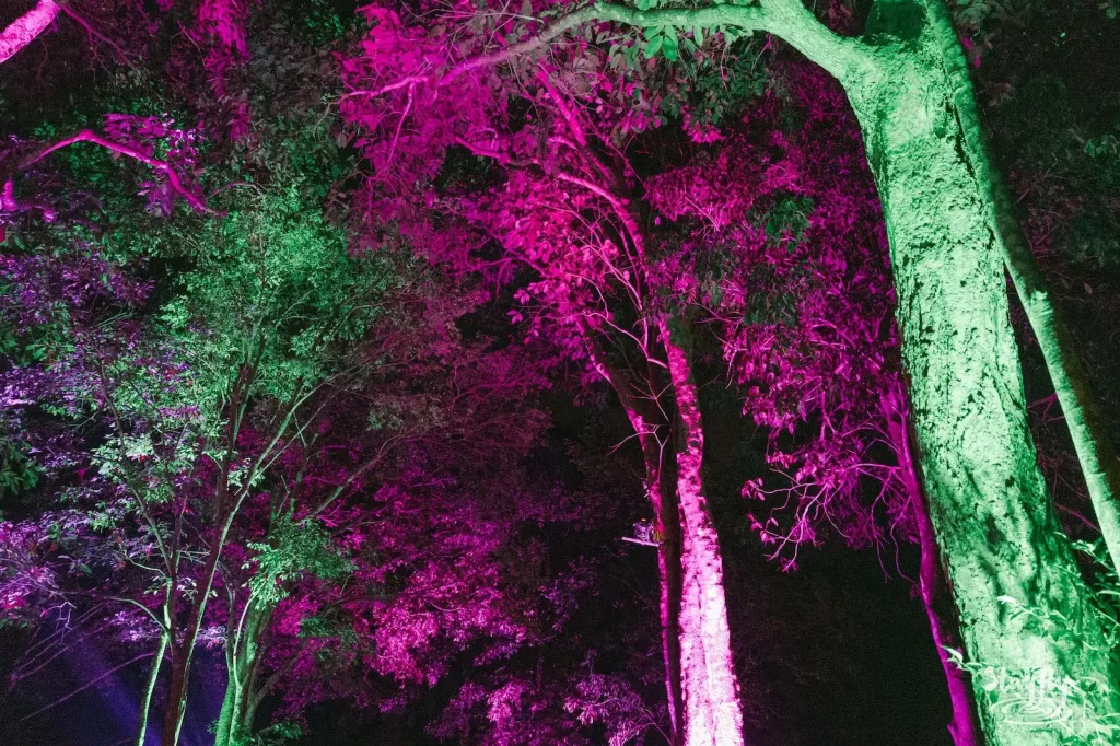 Awakenest Festival 2027